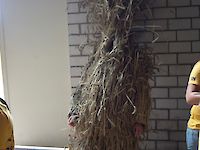 Single Image
