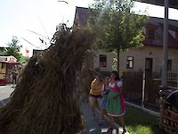 Single Image