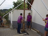 Single Image
